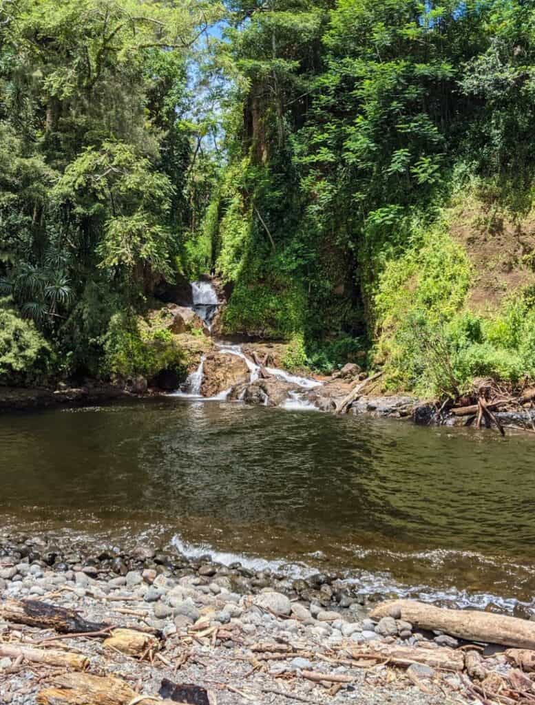 Small multi tier waterfall flowing over rocks into a calm river pool surrounded by dense tropical forest, representing a quieter spot among big island waterfalls you can swim in. Pebled shoreline and gentle current create an easy entry point for a relaxing swim in this lush jungle setting.