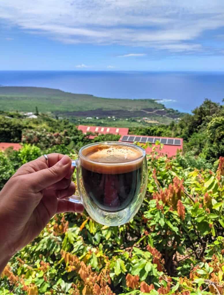 my hand holding a Cup of Sacred Ground Coffee with view of Kealakekua Bay in the background and coffee trees below me