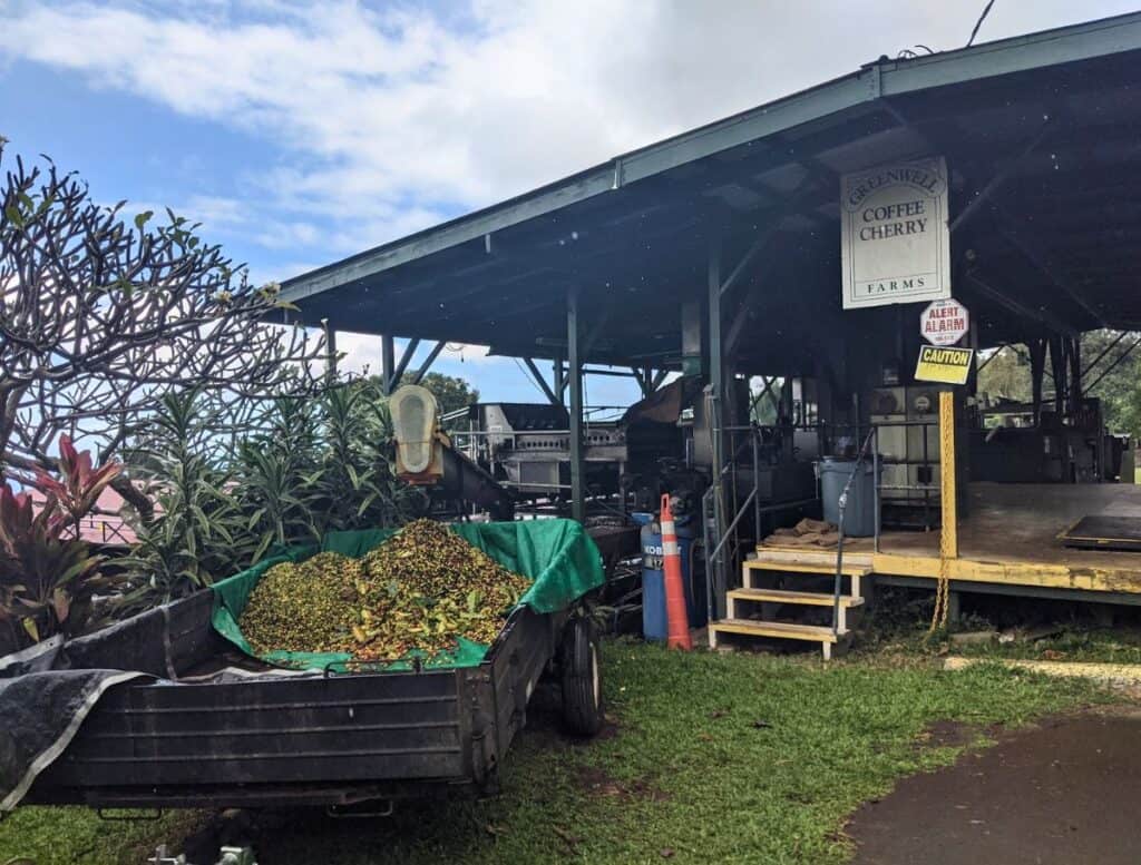 greenwell coffee farm is a popular coffee farm stop on the way from kona to hilo