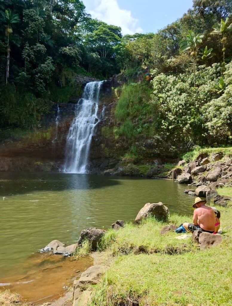 Lush tropical waterfall flowing into a wide green pool with a person sitting on rocks along the shore, representing one of the big island waterfalls you can swim in surrounded by dense jungle and sunlight filtering through the trees. Calm water and easy access from the grassy bank make it appear inviting for a relaxed swim near the falls.