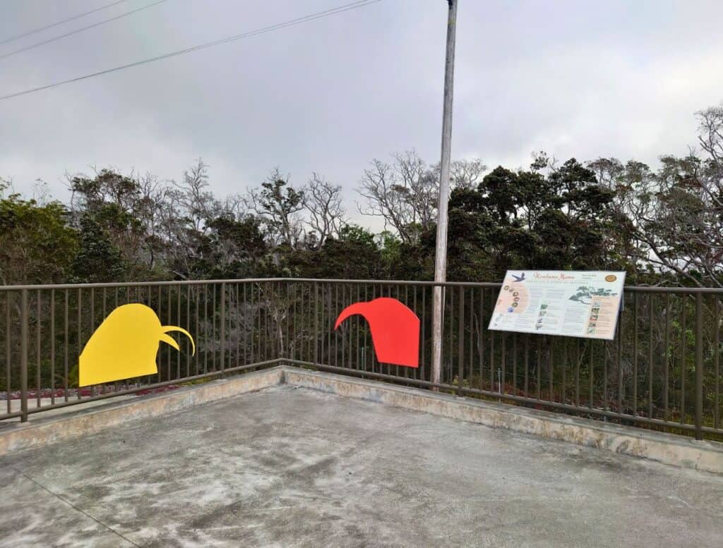 Kaulana Manu Nature Trail trailhead with fence of colorful bird silhouettes and informational placard