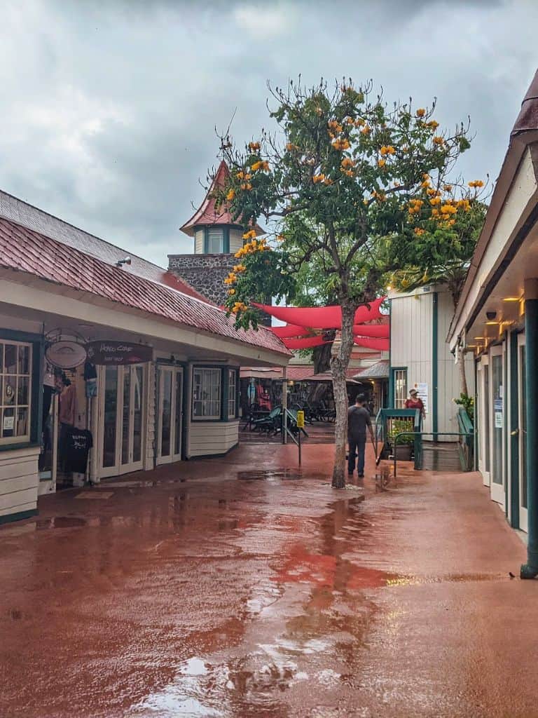 What to Do in Kona When it Rains to Stay Dry - Big Island Itineraries