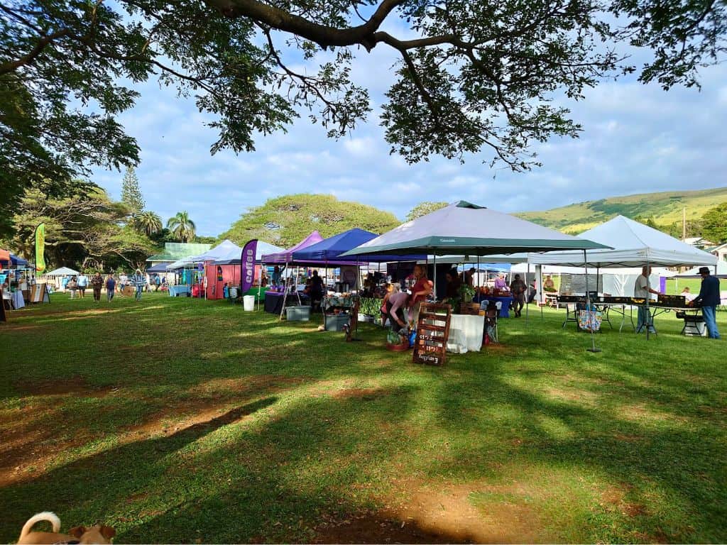 row of tents under tree shade at OKK Market in Naalehu