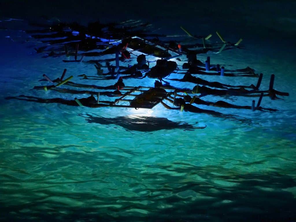 Snorkelers watching manta rays in Keauhou Bay