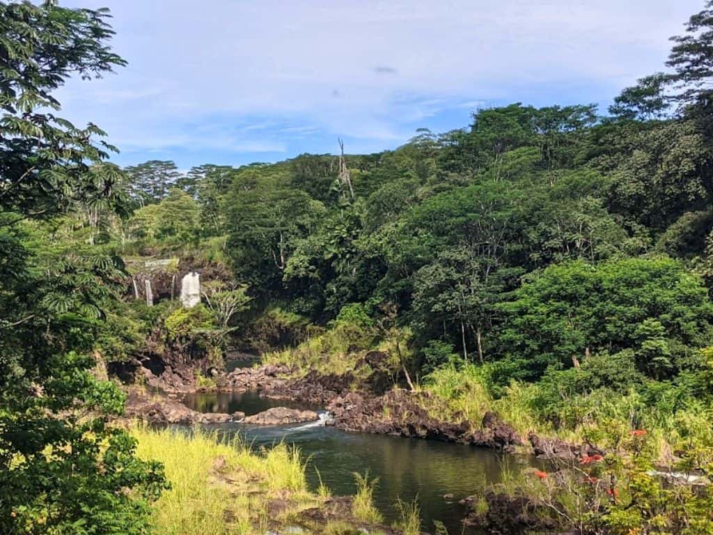 Lush tropical river winding through dense green jungle with a small waterfall flowing over dark volcanic rock in the distance in Hilo Hawaii. Exploring scenic rainforest landscapes and hidden waterfalls like this is one of the peaceful things to do in Hilo Hawaii.