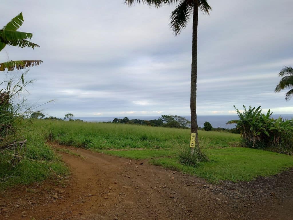 Dirt path winding through lush green grass with palm trees and ocean views in the distance under a cloudy sky in Hilo Hawaii. Scenic countryside walks like this offer a peaceful way to explore nature and are among the relaxing things to do in Hilo Hawaii.