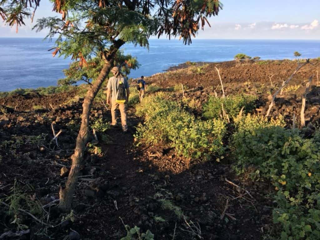 hikers walking down the Lava rocky field section of the Captain Cook Monument Trail with the ocean in the background