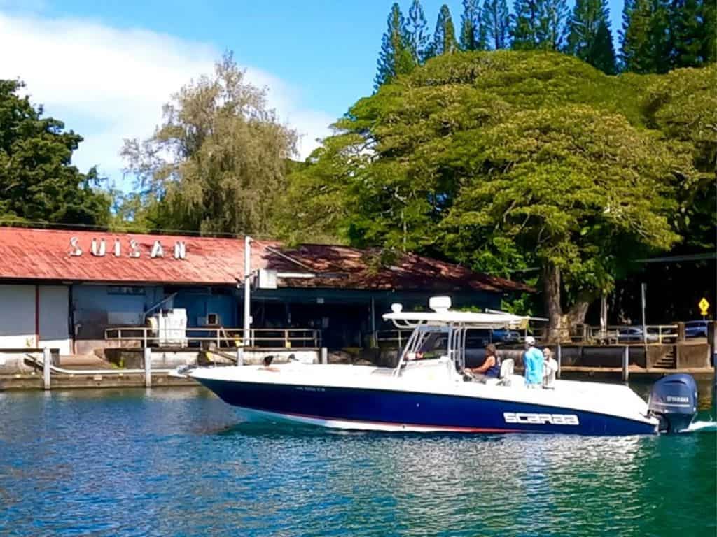 Hilo Ocean Adventures whale watching boat pulling out of the hilo harbor