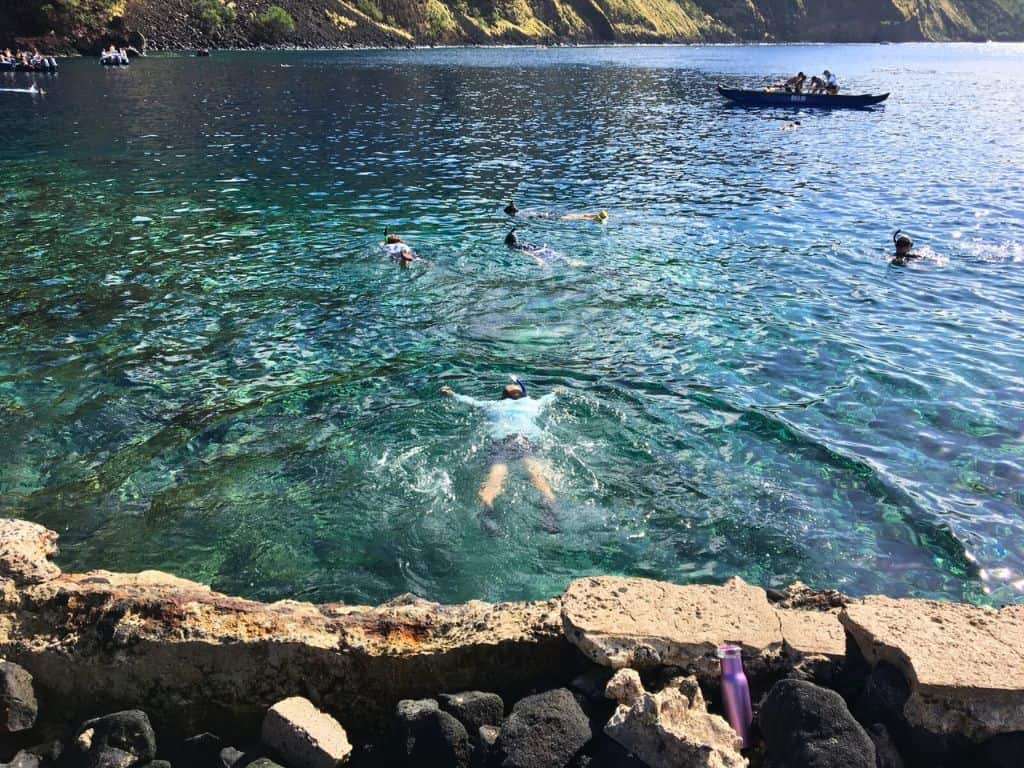 Snorkelers from shore at Kealakekua Bay with boater in background