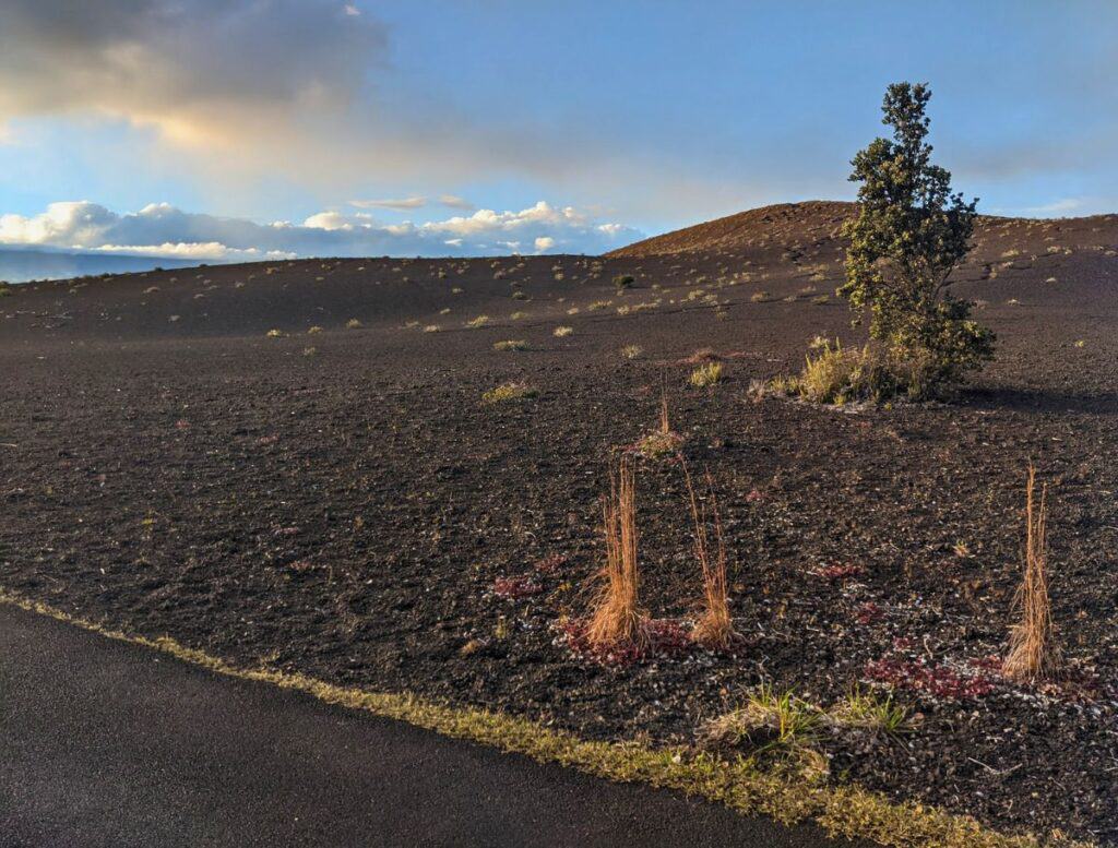 Devastation Trail with rocky lava field and small hill in background