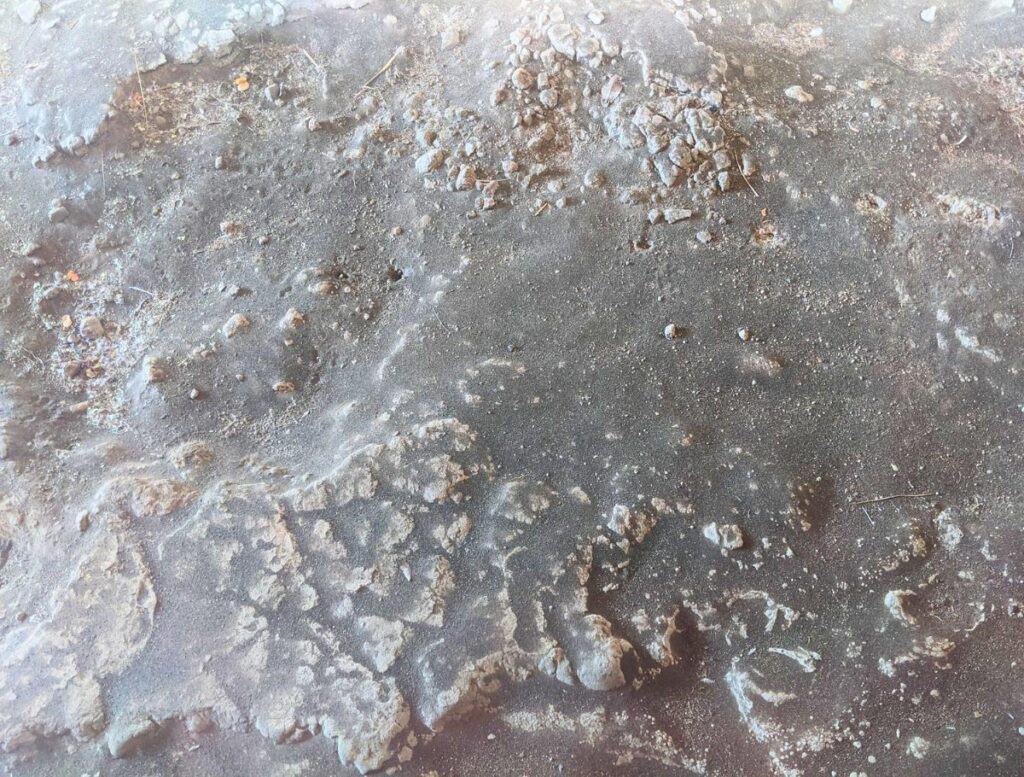 Supposedly the preserved footprint is in this picture, but I don't see it! just sand and rock
