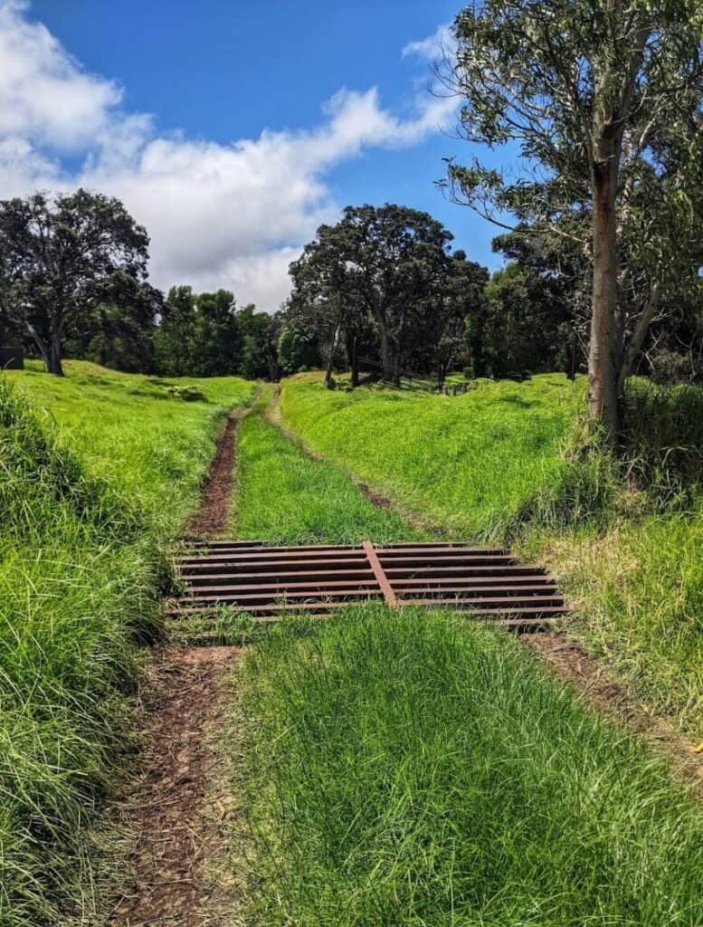 Cattle gate in the road in Kahuku Unit