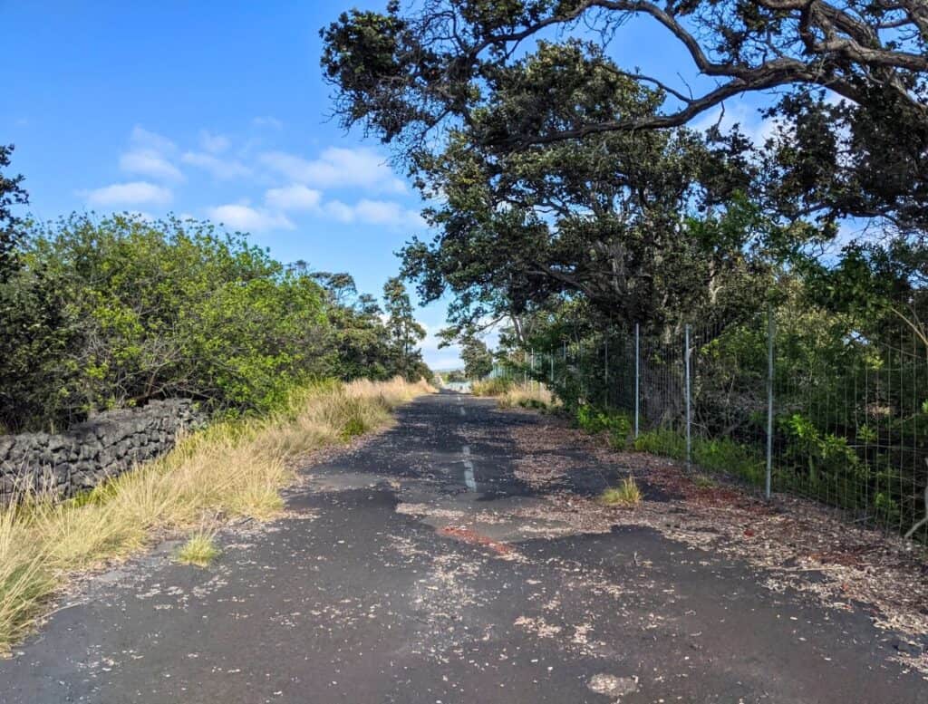 Old Mamalahoa Trail with tree overhanging pavement