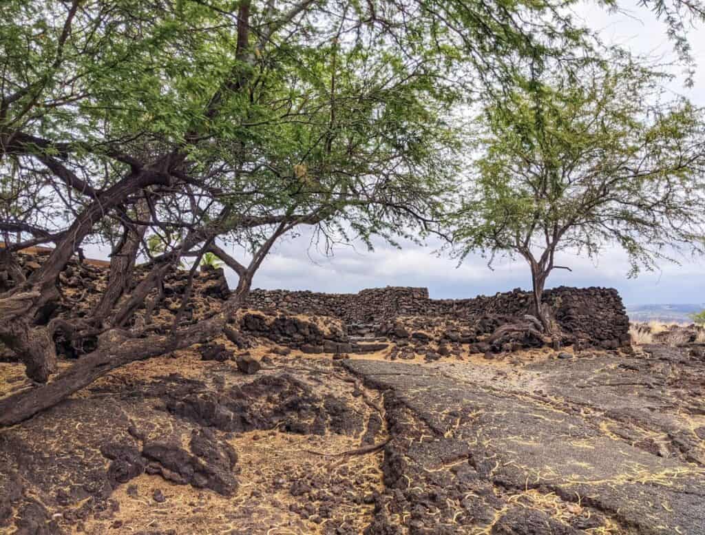 Ancient lava rock walls and stone foundations beneath shady trees in a historic Hawaiian archaeological site on the Big Island. Exploring preserved Hawaiian village ruins is one of the cultural things to do Waikoloa for visitors interested in the island’s history.