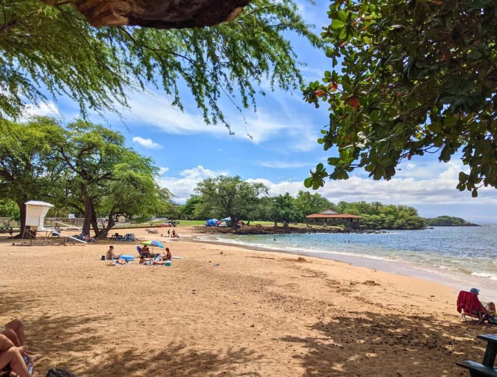Sandy beach with calm water, shade trees, and families relaxing under umbrellas along the shoreline on the Big Island. Quiet coastal park near Hawi where visitors swim, picnic, and enjoy laid back beach time while exploring things to do Hawi.