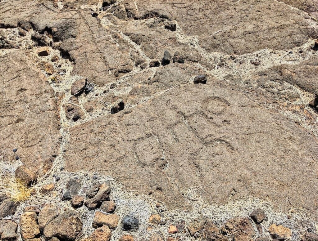 Ancient petroglyph carvings etched into a lava rock field on the Big Island with small stones and dried grass scattered across the surface. Visiting historic Hawaiian petroglyph fields is one of the fascinating cultural things to do Waikoloa to learn about the island’s early inhabitants.