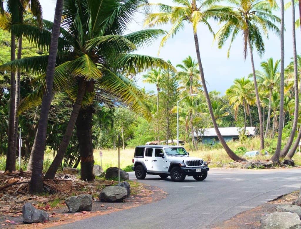 White Jeep driving along a small road lined with tall coconut palm trees and lush tropical greenery on the Big Island. The quiet roadside scene shows the kind of scenic driving routes often highlighted in a Big Island travel guide.