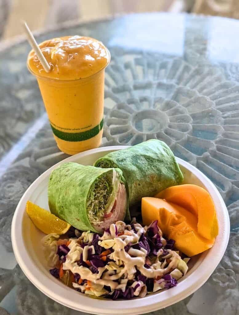 Sandwich wrap plate with salad and fresh fruit and fruit smoothie from What's Shakin'