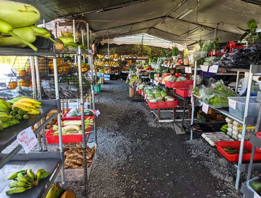 Produce stand from a Puna roadside vendor under a tent with a variety of fruits and vegetables