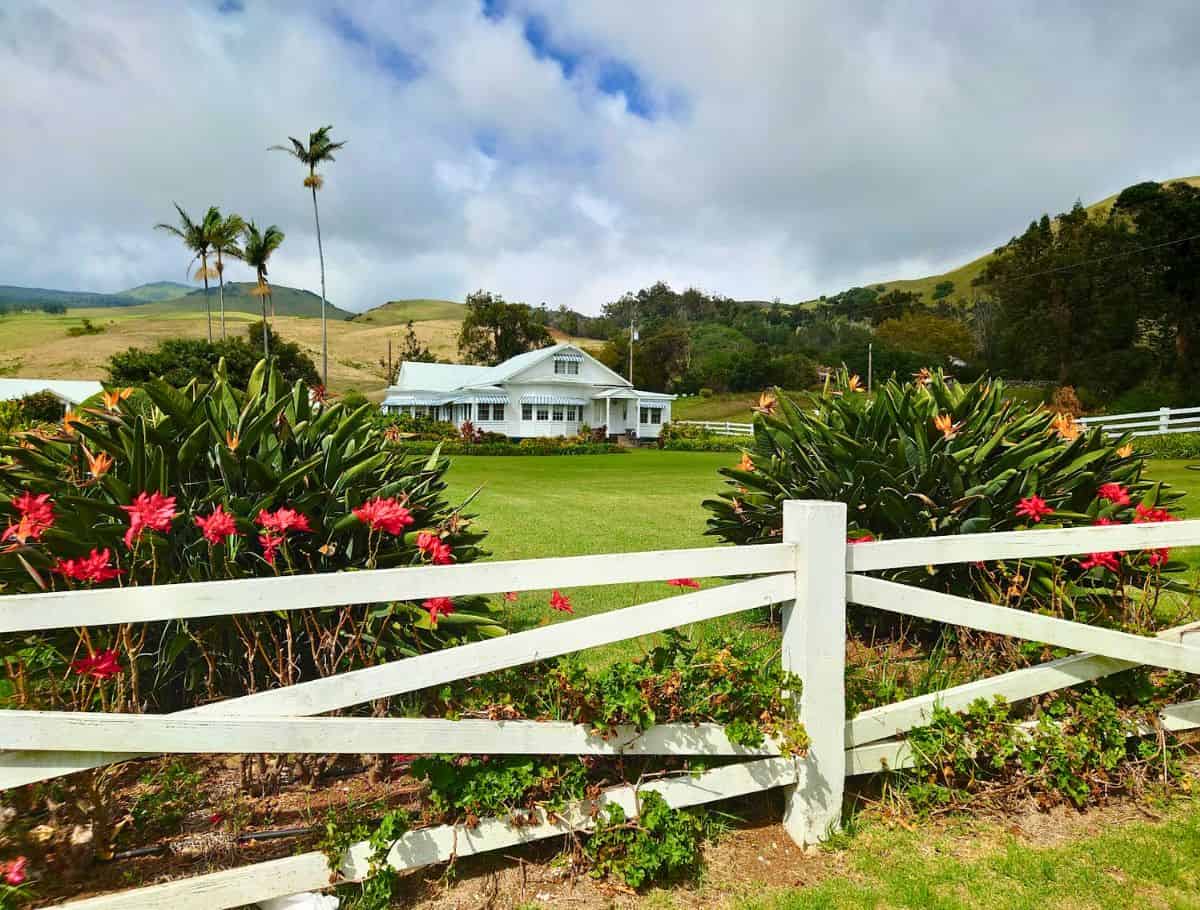 Is Waimea Worth Visiting on the Big Island? 13 Unique Things to Do