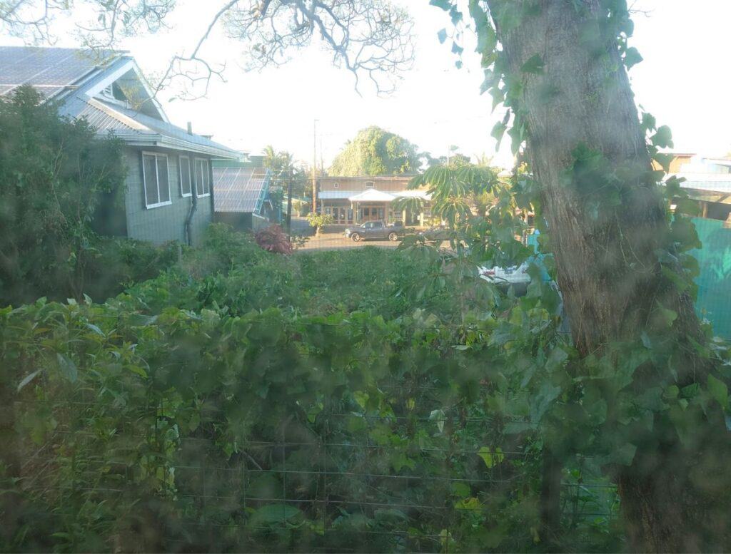View through dirty screen towards Hawi's main street through neighboring property