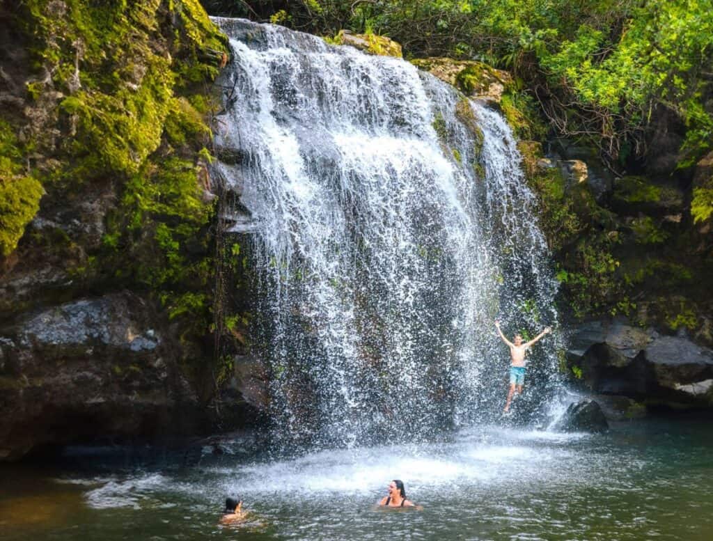 Wide waterfall pouring over mossy rock cliffs into a natural swimming pool surrounded by lush tropical greenery. One person jumps from the rocks while others swim below the cascading water. Popular swimming hole near Hawi where visitors cool off after exploring the area.