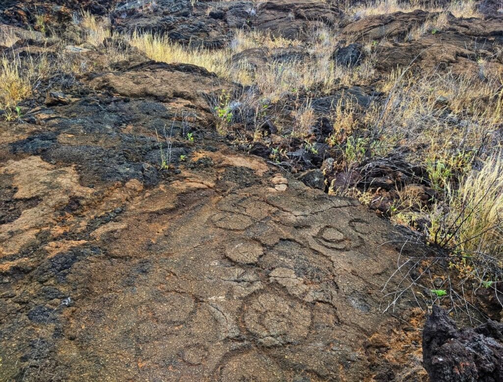 Undefined petroglyphs at Kalahuipua’a Historic Park, just circles