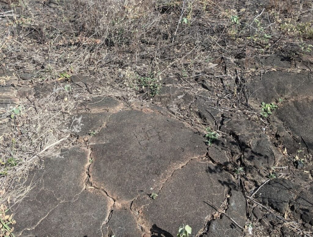 Nearly invisible petroglyph at Kaloko-Honokōhau due to high sunlight