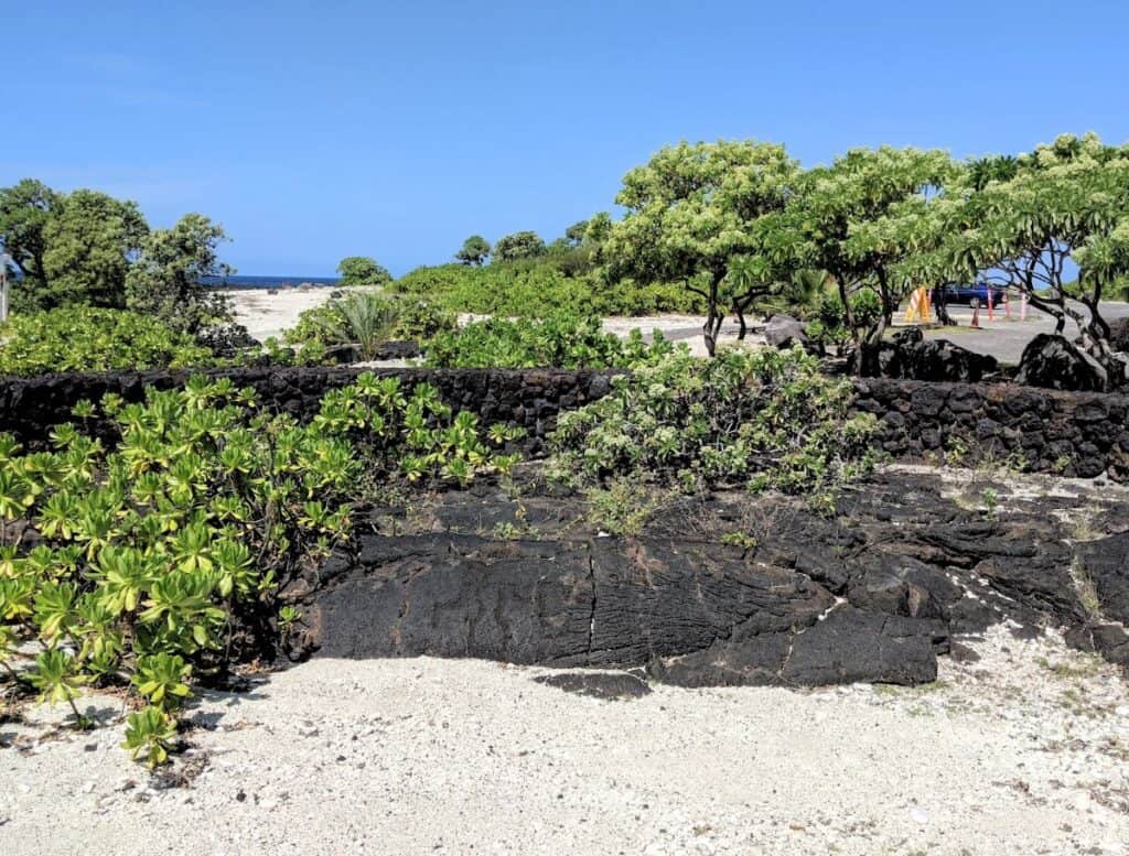 Singular petroglyph at Kohanaiki Beach Park in dark lava rock with green trees and blue sky above