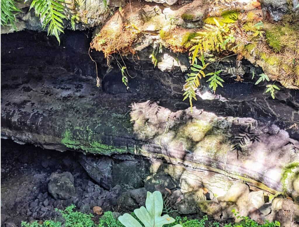 shaded Lava tube with petroglyphs at Paleaku Gardens Peace Sanctuary