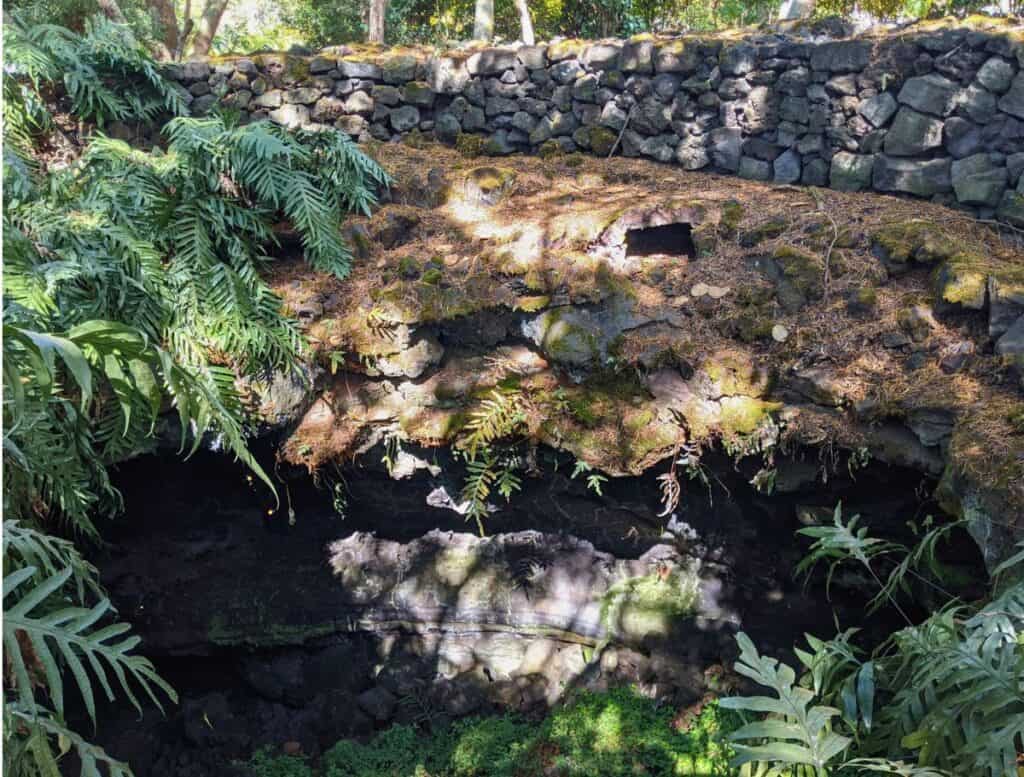 shaded lava tube with tropical foliage