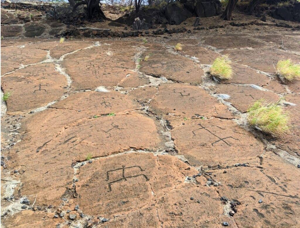 Human petroglyphs at Puako Petroglyph Park field