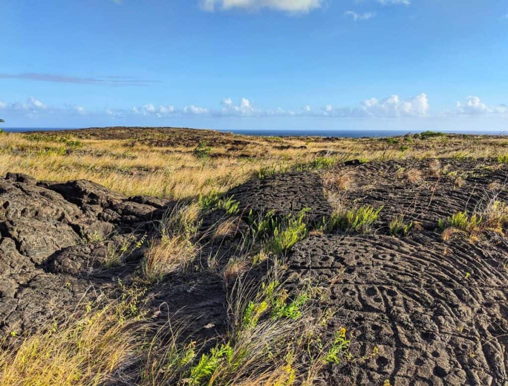 Pu’u Loa Petroglyph field with lots of dots and view of ocean