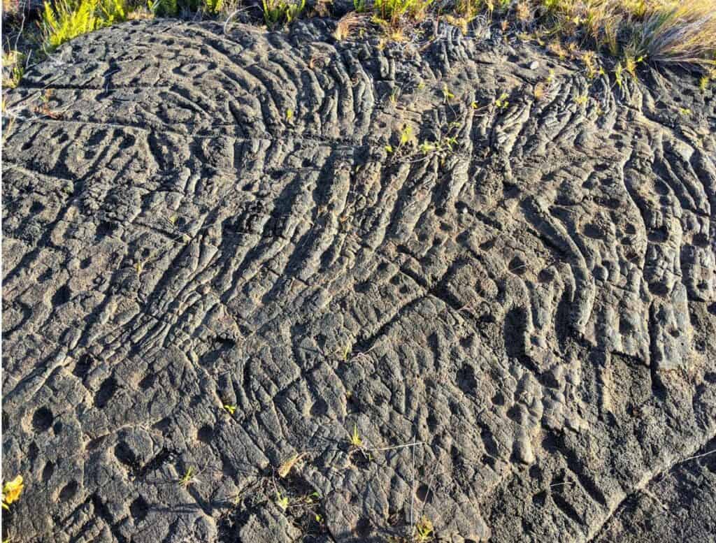 Endless pukas on the Pu’u Loa Petroglyph field
