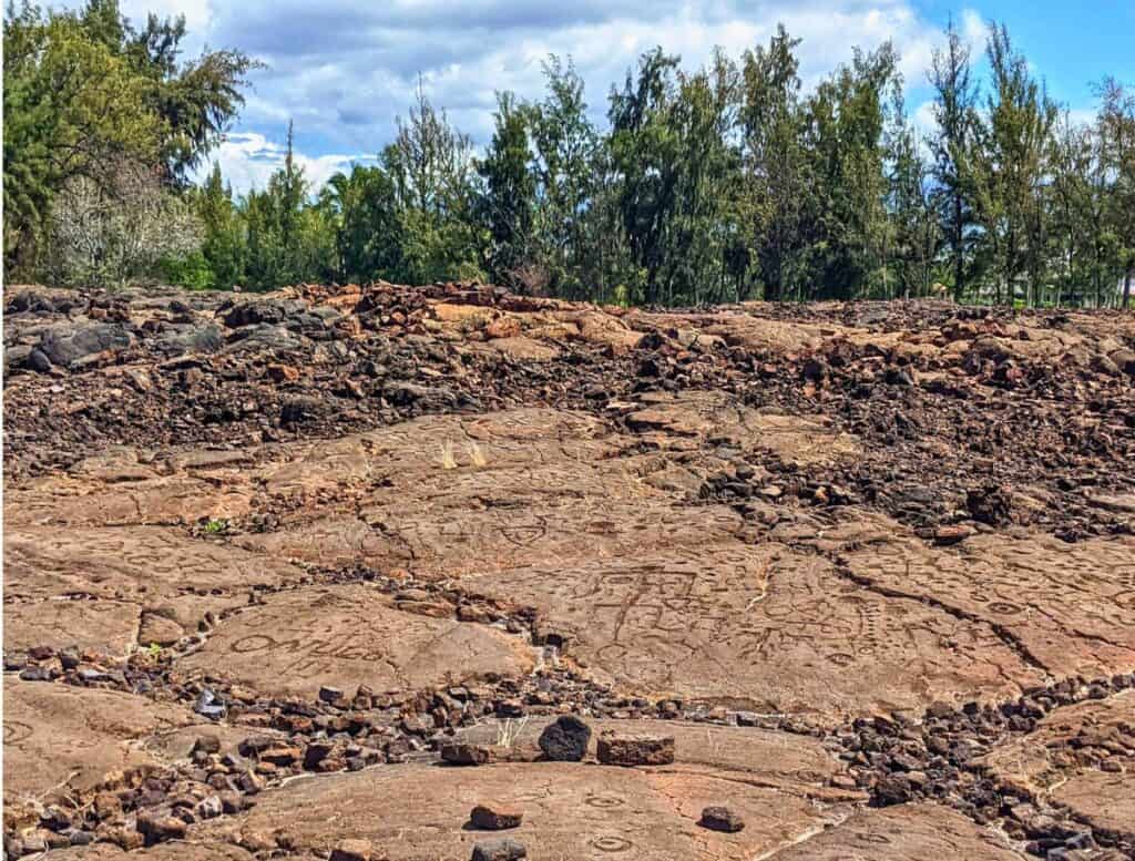 Waikoloa Petroglyph Reserve field with trees lining background