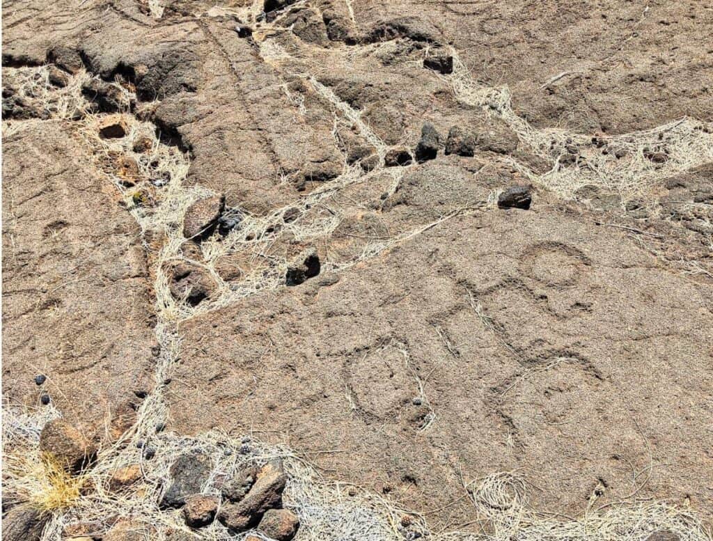 Waikoloa Petroglyph Reserve petroglyphs of person and circles