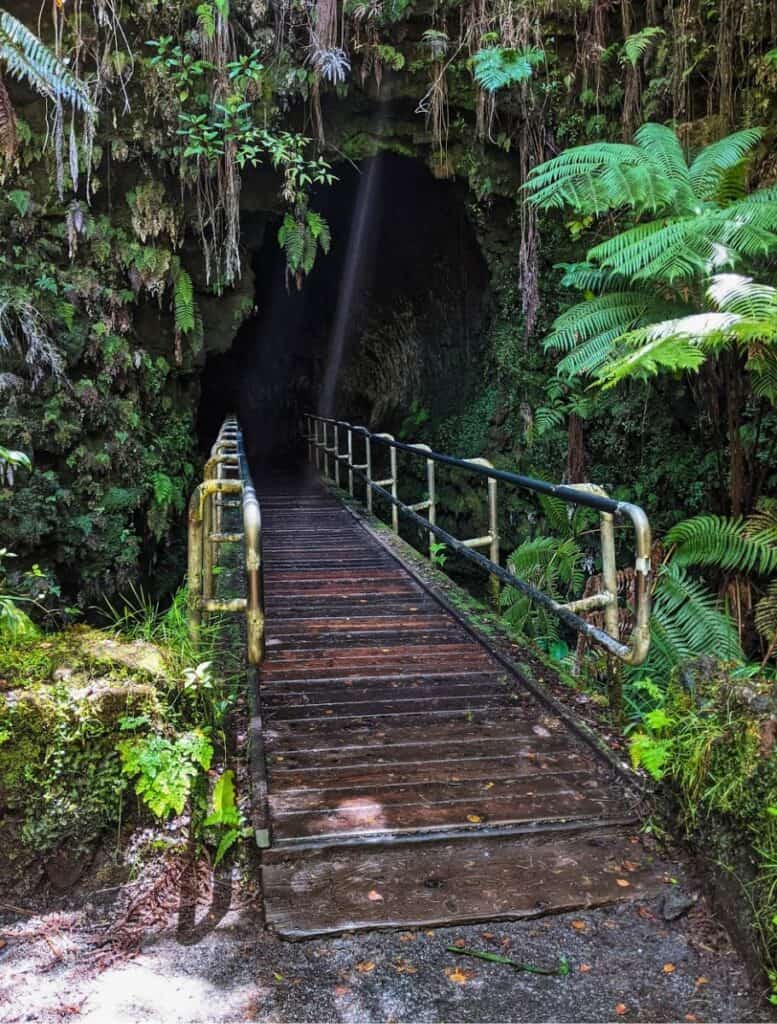 Wooden walkway leading into the shadowy entrance of nahuku thurston lava tube with water trickling down from above amidst a dense, verdant forest