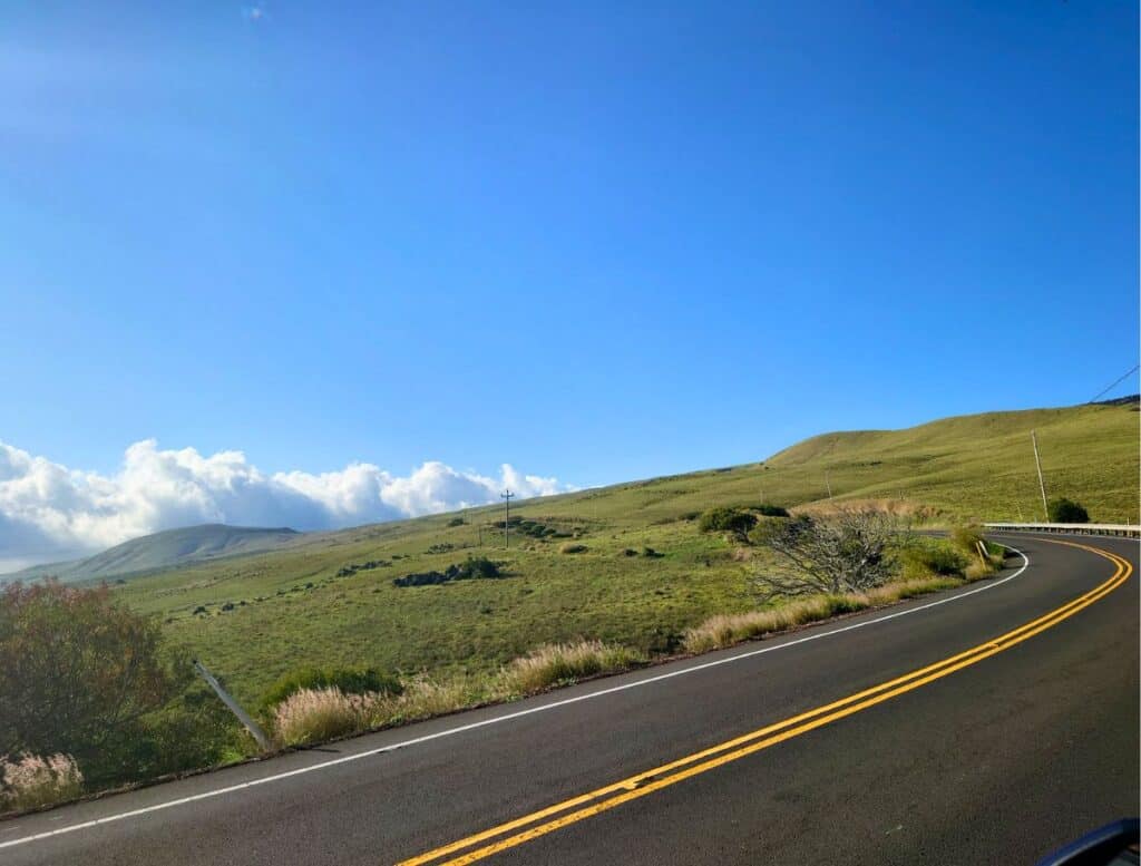 Curve on Big Island road up a hill