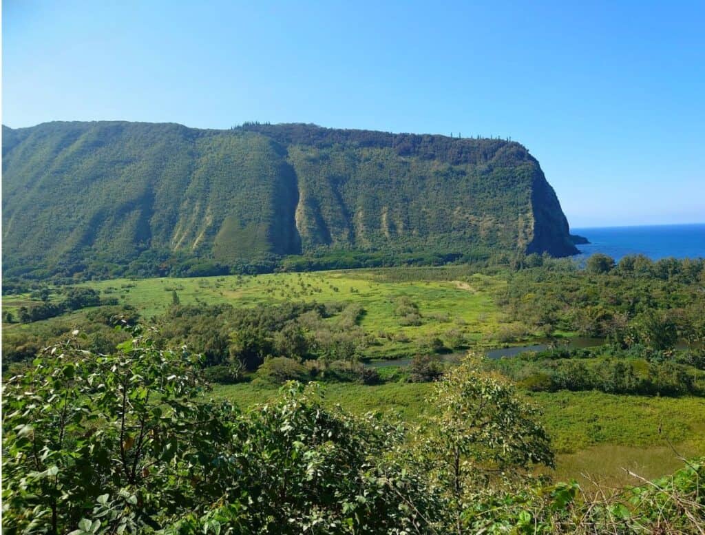 Extensive view of Waipio Valley coming down the steep road