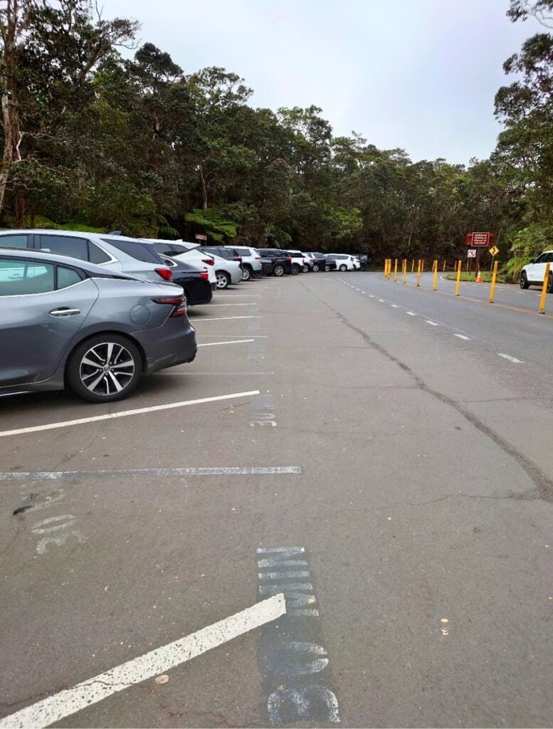 A parking lot lined with cars adjacent to a forested area, with clear road markings and a pedestrian crosswalk.