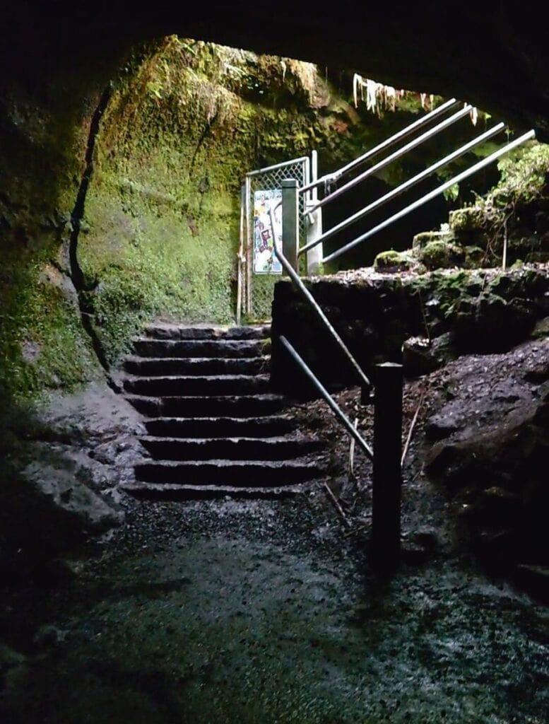 Stairs leading up to a gate within thurston lava tube cave, with a warning sign visible, surrounded by green moss and lit by a soft light