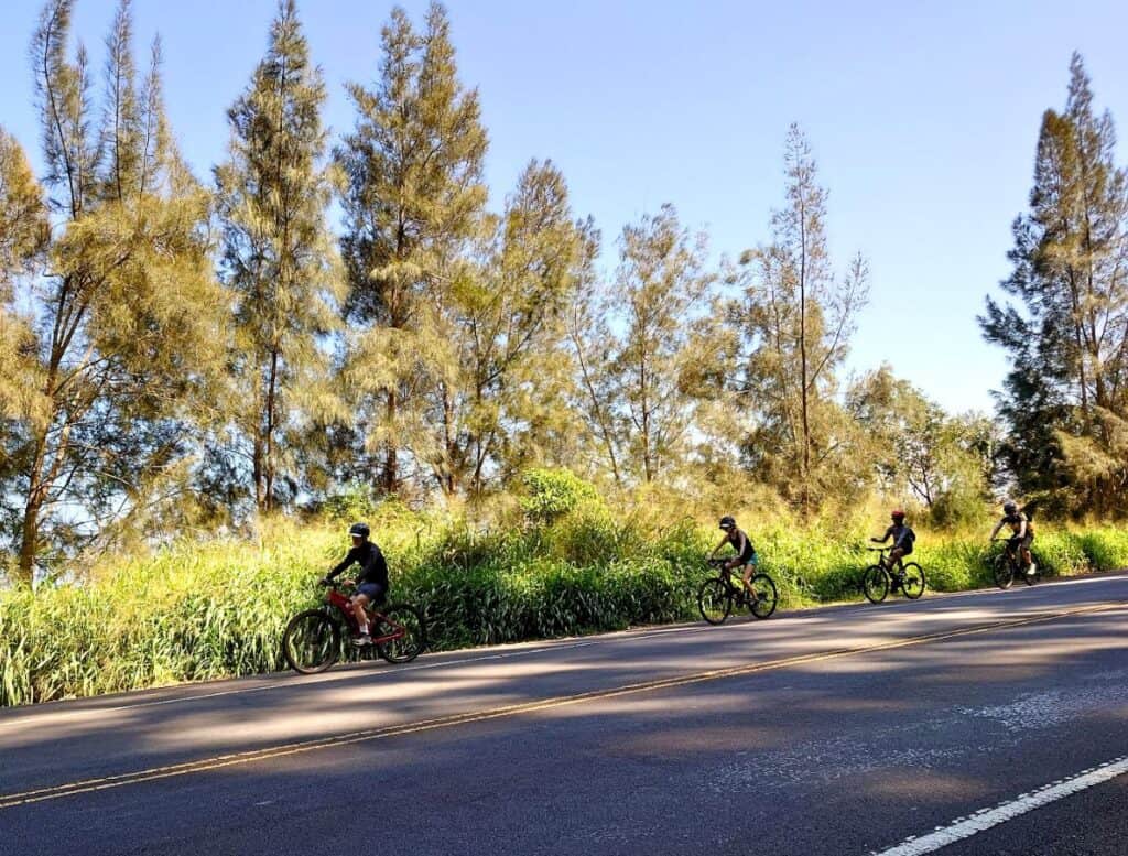 4 bikers on the Waipio Valley bike tour along the highway
