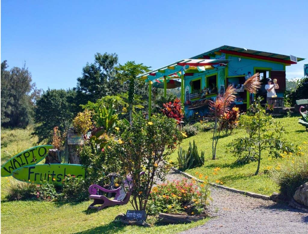 gravel path through garden up to colorful Waipio Fruit Stand