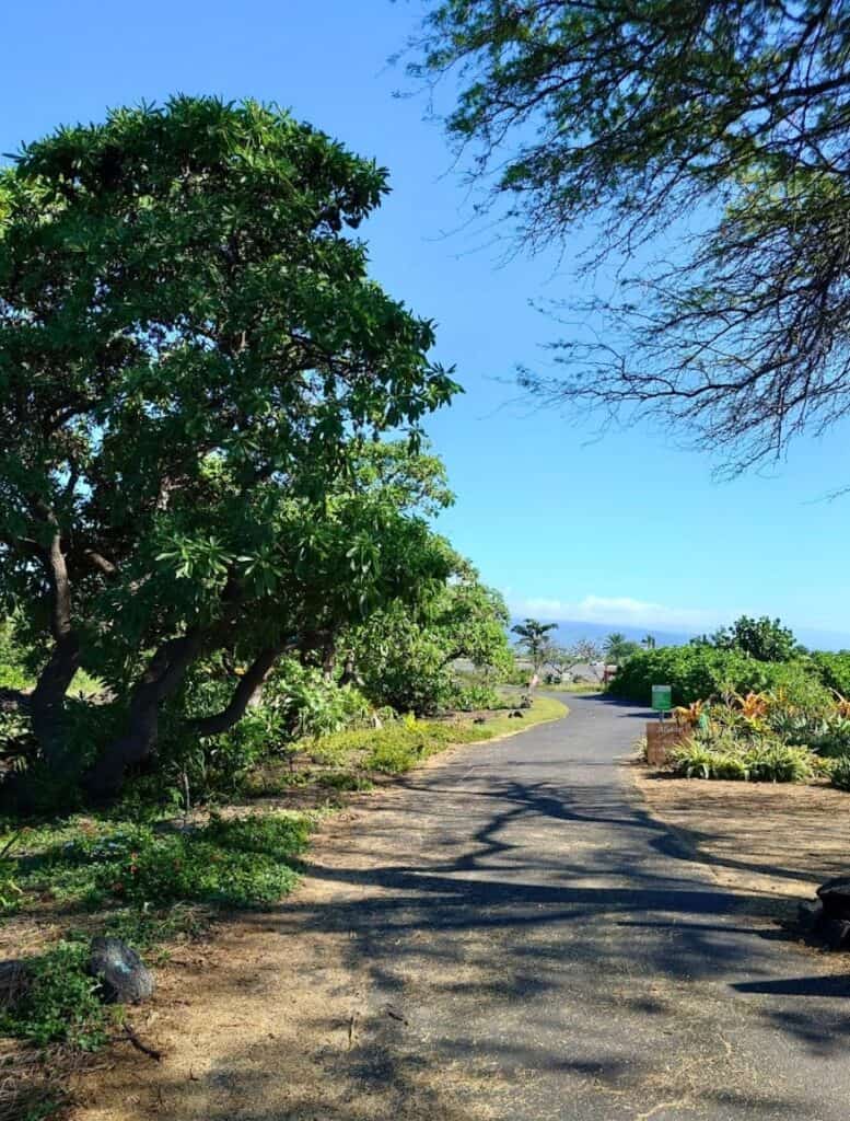 Maka'eo Walking path, paved trail with trees and foliage on sides